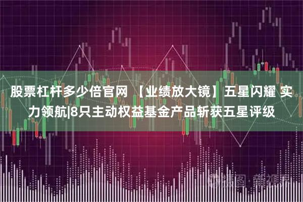 股票杠杆多少倍官网 【业绩放大镜】五星闪耀 实力领航|8只主动权益基金产品斩获五星评级
