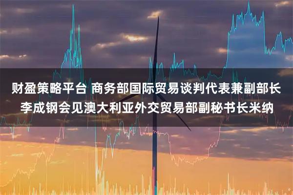 财盈策略平台 商务部国际贸易谈判代表兼副部长李成钢会见澳大利亚外交贸易部副秘书长米纳
