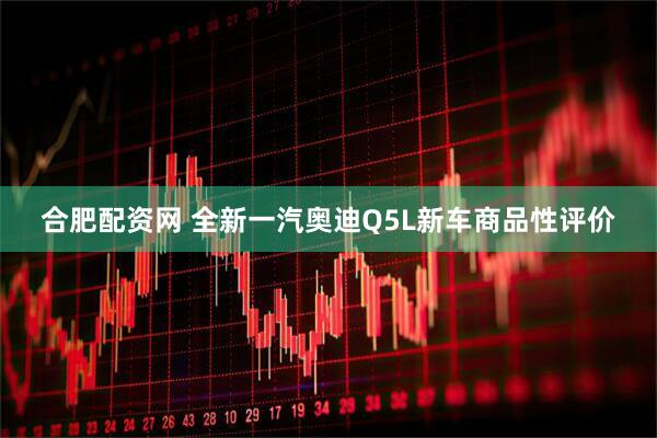 合肥配资网 全新一汽奥迪Q5L新车商品性评价