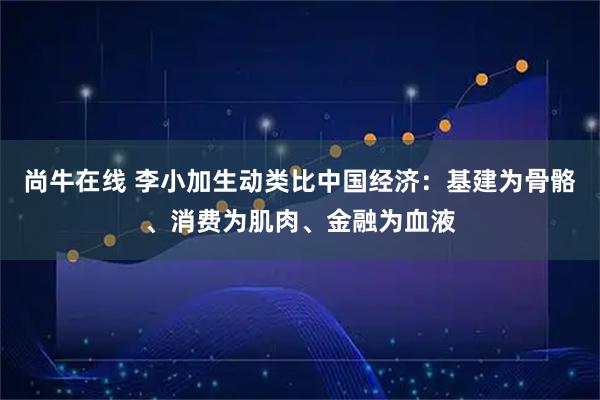 尚牛在线 李小加生动类比中国经济:基建为骨骼、消费为肌肉、金融为血液